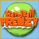 Hardball Frenzy Game