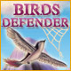 Birds Defender Game