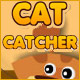 Cat Catcher Game