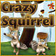 Crazy Squirrel Game