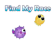 Find My Race game