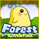 Forest Adventure Game