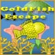 GoldFish Escape Game