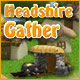 Headshire Gather Game