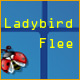 Ladybird Flee Game