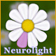 NeuroLight Game