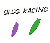 Slug Racing game