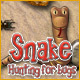 Snake-Hunting for Bugs Game