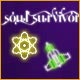 Soul Survivor Game