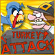 Turkey Attack Game