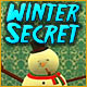 Play Winter Secret game