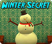 Winter Secret game