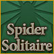 Play Spider Solitaire game
