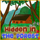 Hidden in the Forest Game