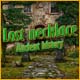 Lost Necklace - Ancient History Game