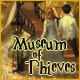Museum of Thieves Game