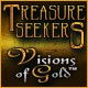 Play Treasure Seekers: Visions of Gold game