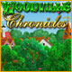 Woodville Chronicles Game