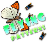 Flying Patterns game