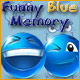 Funny Blue Memory Game