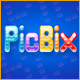 PicBix Game