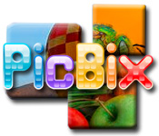 PicBix game